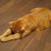 ヒメ日記 2025/08/15 11:21 投稿 岡福(おかふく) 八王子人妻城