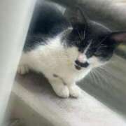 ヒメ日記 2025/08/26 19:42 投稿 岡福(おかふく) 八王子人妻城