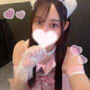 ヒメ日記 2026/01/12 20:43 投稿 せいか【艶髪とエロも満点】 STELLA TOKYO－ステラトウキョウ－