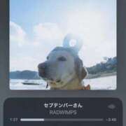 ヒメ日記 2025/09/04 07:16 投稿 なつめ 吉原ファーストレディ