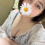 ヒメ日記 2025/07/16 05:20 投稿 ひなの Beppin house