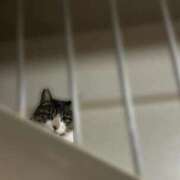 ヒメ日記 2025/10/05 12:44 投稿 愛空美(あくび)【柔らかな色香】 美魔女コレクション別府店