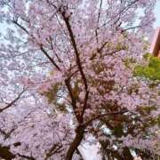 愛空美(あくび)【柔らかな色香】 🌸 美魔女コレクション別府店