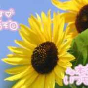 ヒメ日記 2025/08/18 07:52 投稿 ゆきえ 熟女の風俗最終章 高崎店