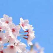 ヒメ日記 2026/04/09 12:18 投稿 ゆきえ 熟女の風俗最終章 高崎店