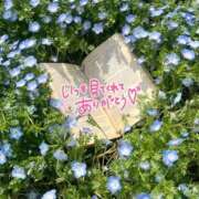 ヒメ日記 2026/04/13 08:48 投稿 ゆきえ 熟女の風俗最終章 高崎店