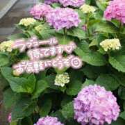 ヒメ日記 2026/06/26 08:28 投稿 ゆきえ 熟女の風俗最終章 高崎店