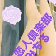 ヒメ日記 2026/04/13 17:30 投稿 みちる 多恋人倶楽部（山口）