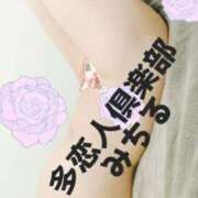 ヒメ日記 2026/04/13 23:15 投稿 みちる 多恋人倶楽部（山口）