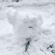 ヒメ日記 2026/02/08 18:10 投稿 ひかる 人妻日記