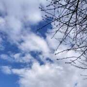 ヒメ日記 2026/03/11 18:25 投稿 ひかる 人妻日記