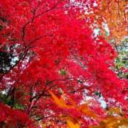久保 エリカ 紅葉🍁 キングアンドクイーン