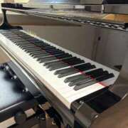 ヒメ日記 2026/01/19 16:17 投稿 久保 エリカ キングアンドクイーン