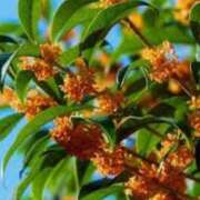 ヒメ日記 2025/10/08 12:12 投稿 いずみ 奥様の実話 谷九店