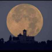 ヒメ日記 2025/11/05 10:28 投稿 いずみ 奥様の実話 谷九店