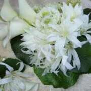 ヒメ日記 2025/11/07 11:53 投稿 いずみ 奥様の実話 谷九店