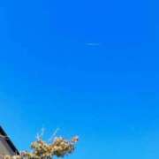 ヒメ日記 2025/11/17 07:04 投稿 いずみ 奥様の実話 谷九店