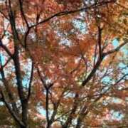 ヒメ日記 2025/11/25 10:04 投稿 いずみ 奥様の実話 谷九店