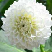 ヒメ日記 2025/11/28 09:32 投稿 いずみ 奥様の実話 谷九店