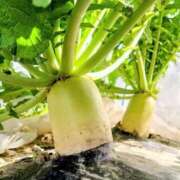 ヒメ日記 2026/02/16 06:56 投稿 いずみ 奥様の実話 谷九店