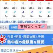 ヒメ日記 2025/09/02 07:30 投稿 あおい 福井人妻城