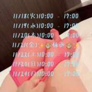 ヒメ日記 2025/11/14 14:18 投稿 あおい 福井人妻城