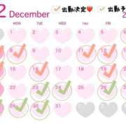 あおい 12月の出勤スケジュール💗‼️ 福井人妻城