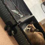 ヒメ日記 2025/10/23 16:18 投稿 【くろえ】ハーフ美女♡ おねだり宮崎