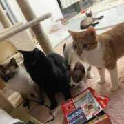 ヒメ日記 2025/10/24 20:08 投稿 【くろえ】ハーフ美女♡ おねだり宮崎