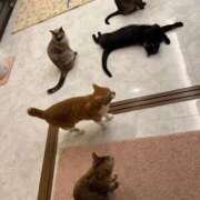 ヒメ日記 2025/11/28 19:14 投稿 【くろえ】ハーフ美女♡ おねだり宮崎