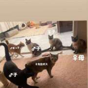 ヒメ日記 2025/12/14 20:18 投稿 【くろえ】ハーフ美女♡ おねだり宮崎