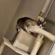 ヒメ日記 2025/12/15 23:18 投稿 【くろえ】ハーフ美女♡ おねだり宮崎