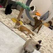 ヒメ日記 2025/12/29 18:08 投稿 【くろえ】ハーフ美女♡ おねだり宮崎