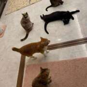 ヒメ日記 2026/02/12 16:38 投稿 【くろえ】ハーフ美女♡ おねだり宮崎