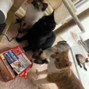 ヒメ日記 2026/02/13 17:38 投稿 【くろえ】ハーフ美女♡ おねだり宮崎