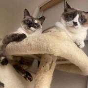 ヒメ日記 2026/02/23 17:59 投稿 【くろえ】ハーフ美女♡ おねだり宮崎