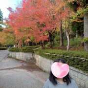 ヒメ日記 2025/12/10 04:03 投稿 新人　渚 福井人妻城