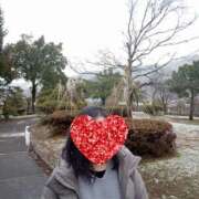 ヒメ日記 2026/01/13 04:03 投稿 新人　渚 福井人妻城