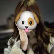 ヒメ日記 2025/12/04 15:33 投稿 新人　さゆり 福井人妻城