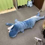 ヒメ日記 2025/11/04 10:03 投稿 らん 福井人妻城