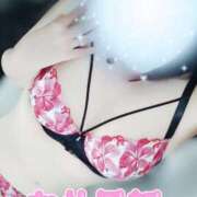 ヒメ日記 2025/09/17 18:18 投稿 新人　まなみ 福井人妻城