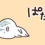 ヒメ日記 2025/12/26 11:33 投稿 長田(おさだ)さん 福井人妻城