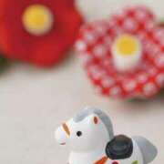 ヒメ日記 2026/01/01 09:00 投稿 長田(おさだ)さん 福井人妻城