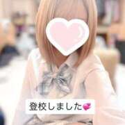 ヒメ日記 2025/08/17 12:04 投稿 晴風 ふわり アリス女学院 日本橋校