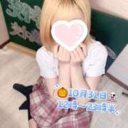 ヒメ日記 2025/10/31 10:20 投稿 晴風 ふわり アリス女学院 日本橋校