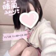 ヒメ日記 2025/11/20 09:20 投稿 晴風 ふわり アリス女学院 日本橋校