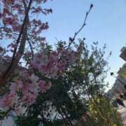 ちとせ 出勤しま〜す。 マダム錦糸町