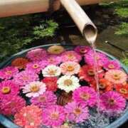 ヒメ日記 2025/11/04 11:25 投稿 れん 僕のぽっちゃり伝説