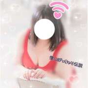 ヒメ日記 2025/11/20 07:55 投稿 れん 僕のぽっちゃり伝説