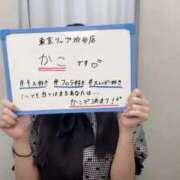 ヒメ日記 2025/08/19 00:56 投稿 かこ 東京リップ 渋谷店